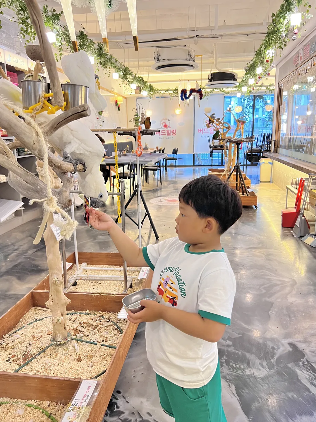 Bird Healing Parrot Café photo 6