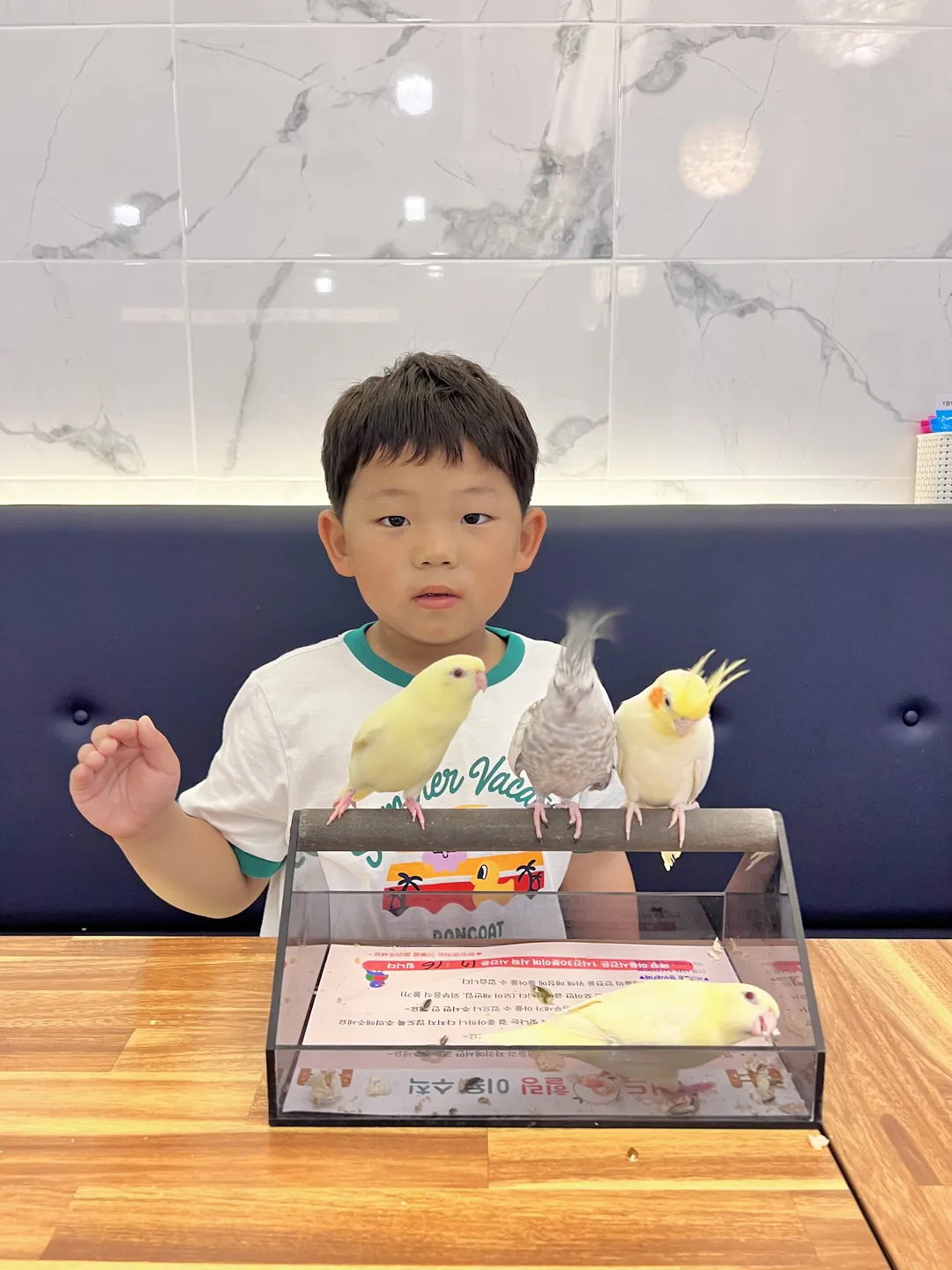 Bird Healing Parrot Café photo 7