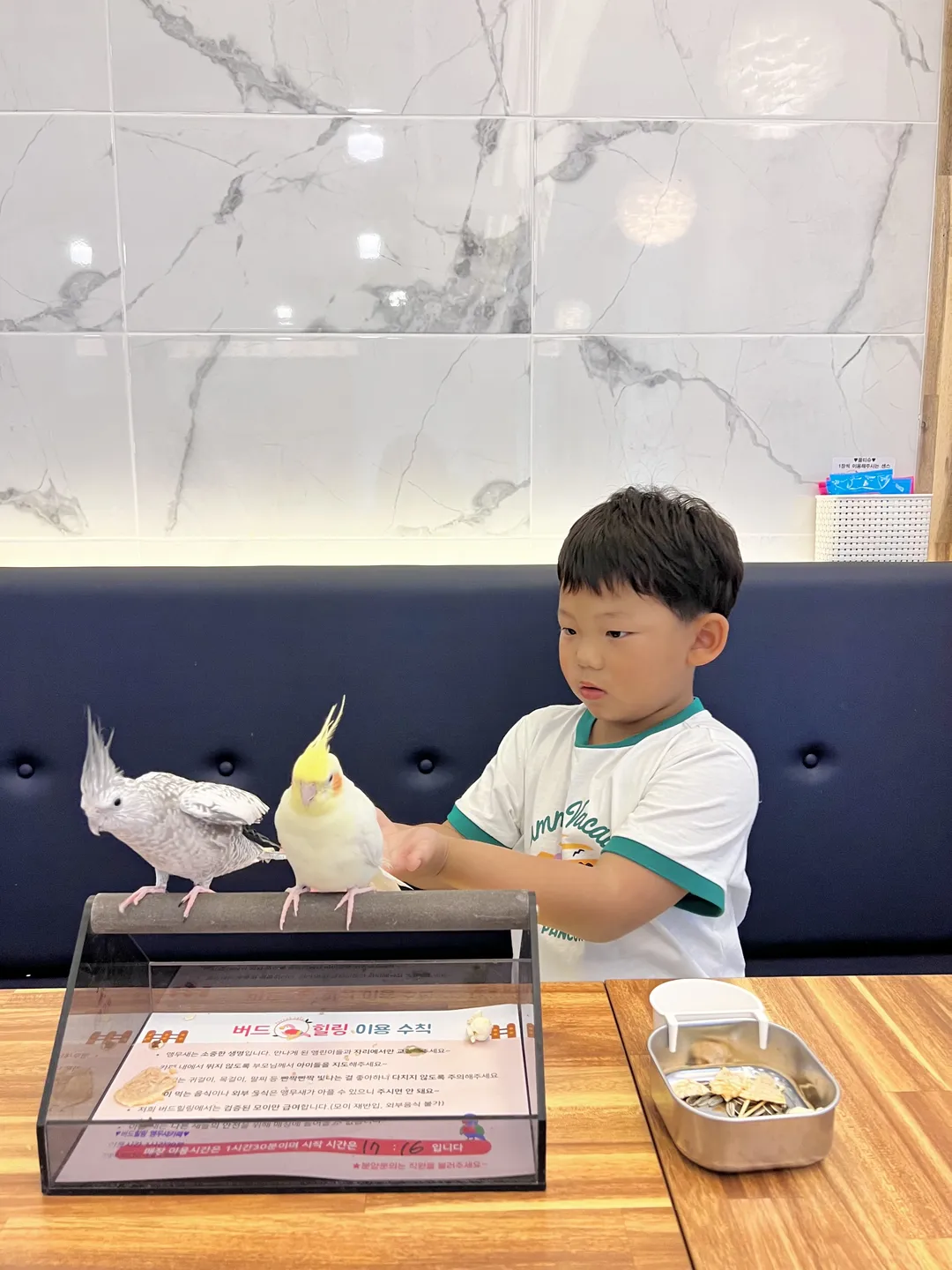 Bird Healing Parrot Café photo 12