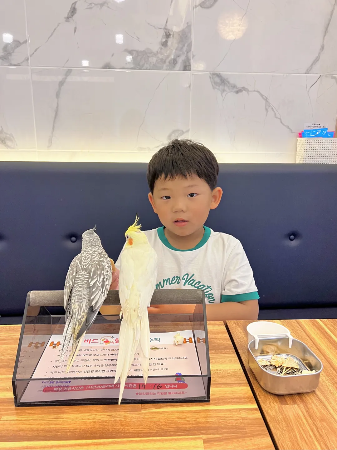 Bird Healing Parrot Café photo 11