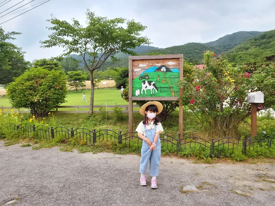 농도원목장 사진 16