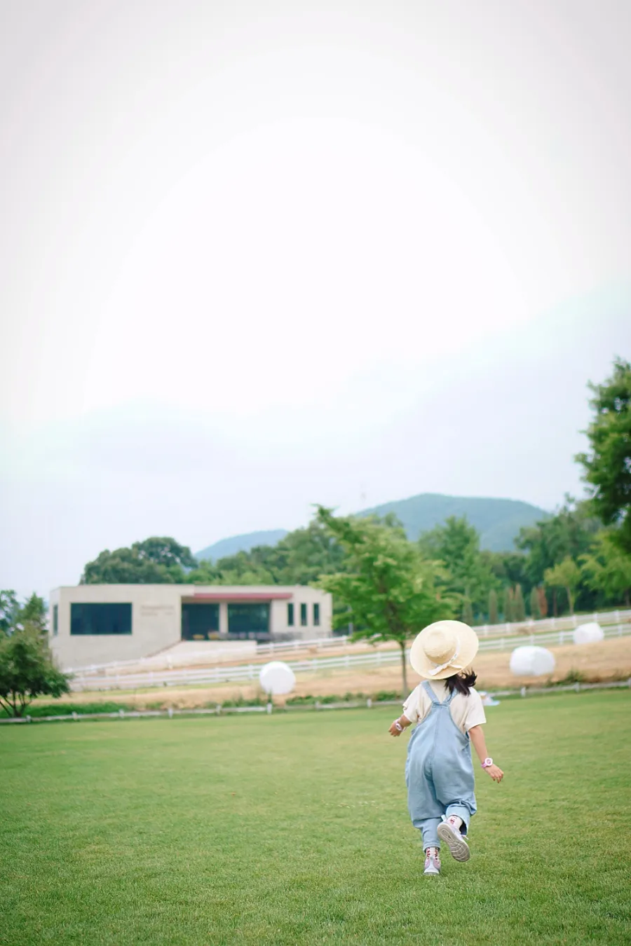 농도원목장 사진 14