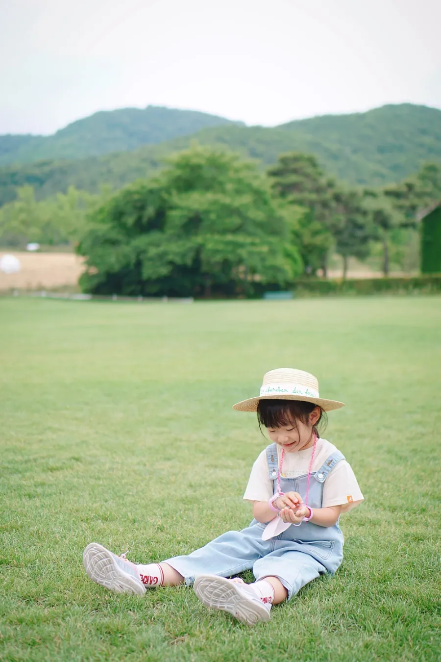농도원목장 사진 15