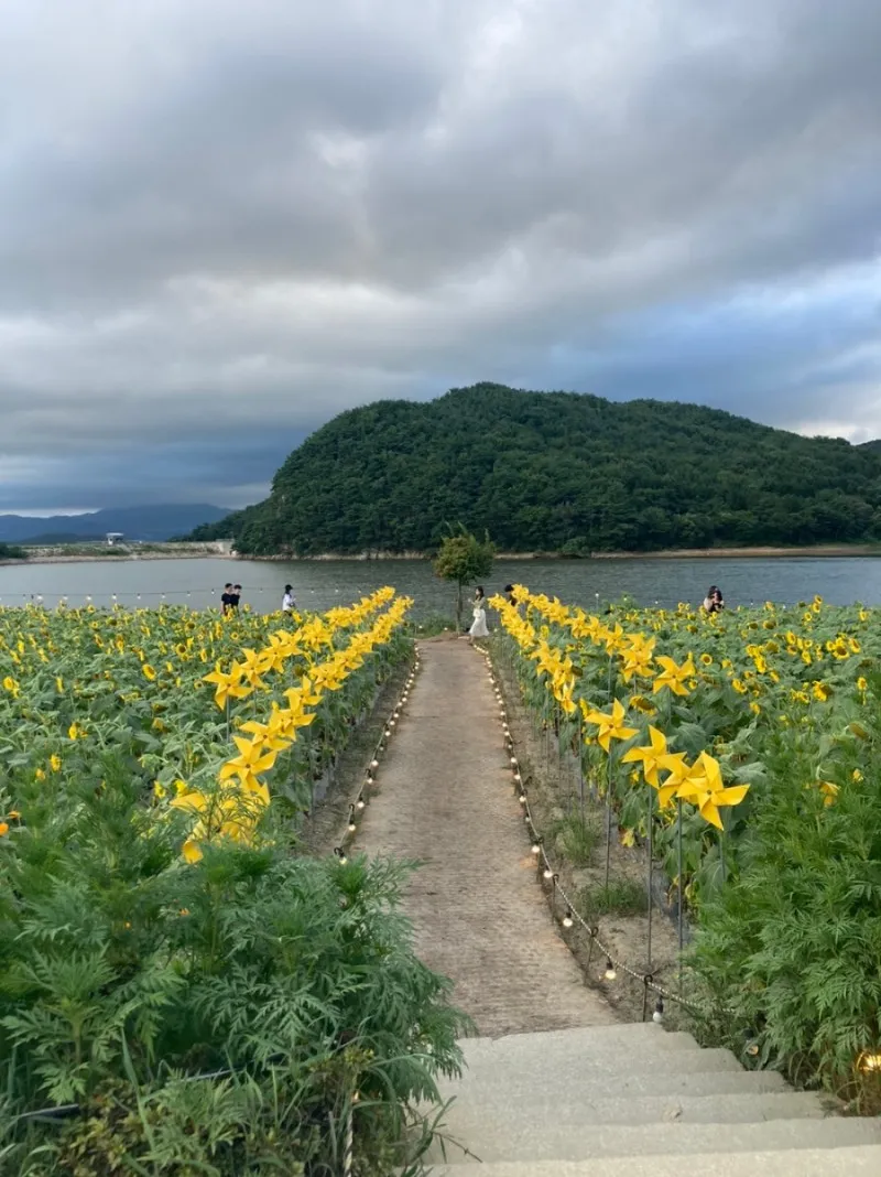 バシラ 写真 14
