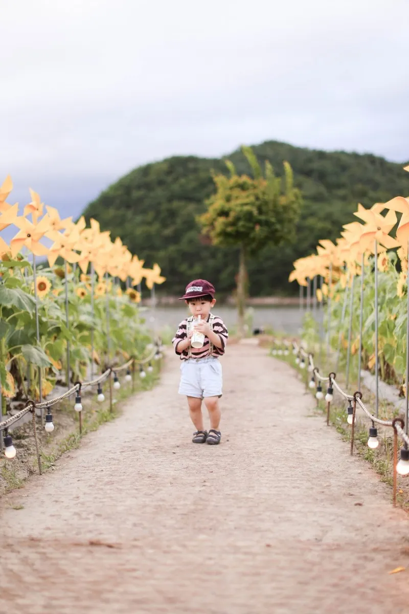 バシラ 写真 9