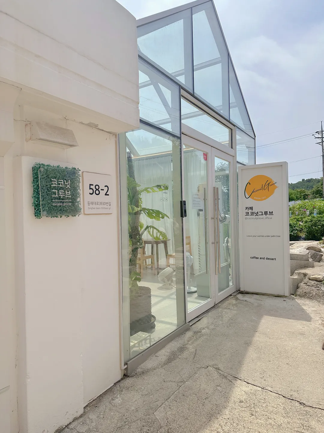 코코넛그루브 사진 16