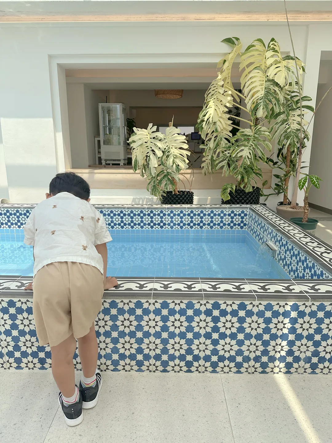 코코넛그루브 사진 29
