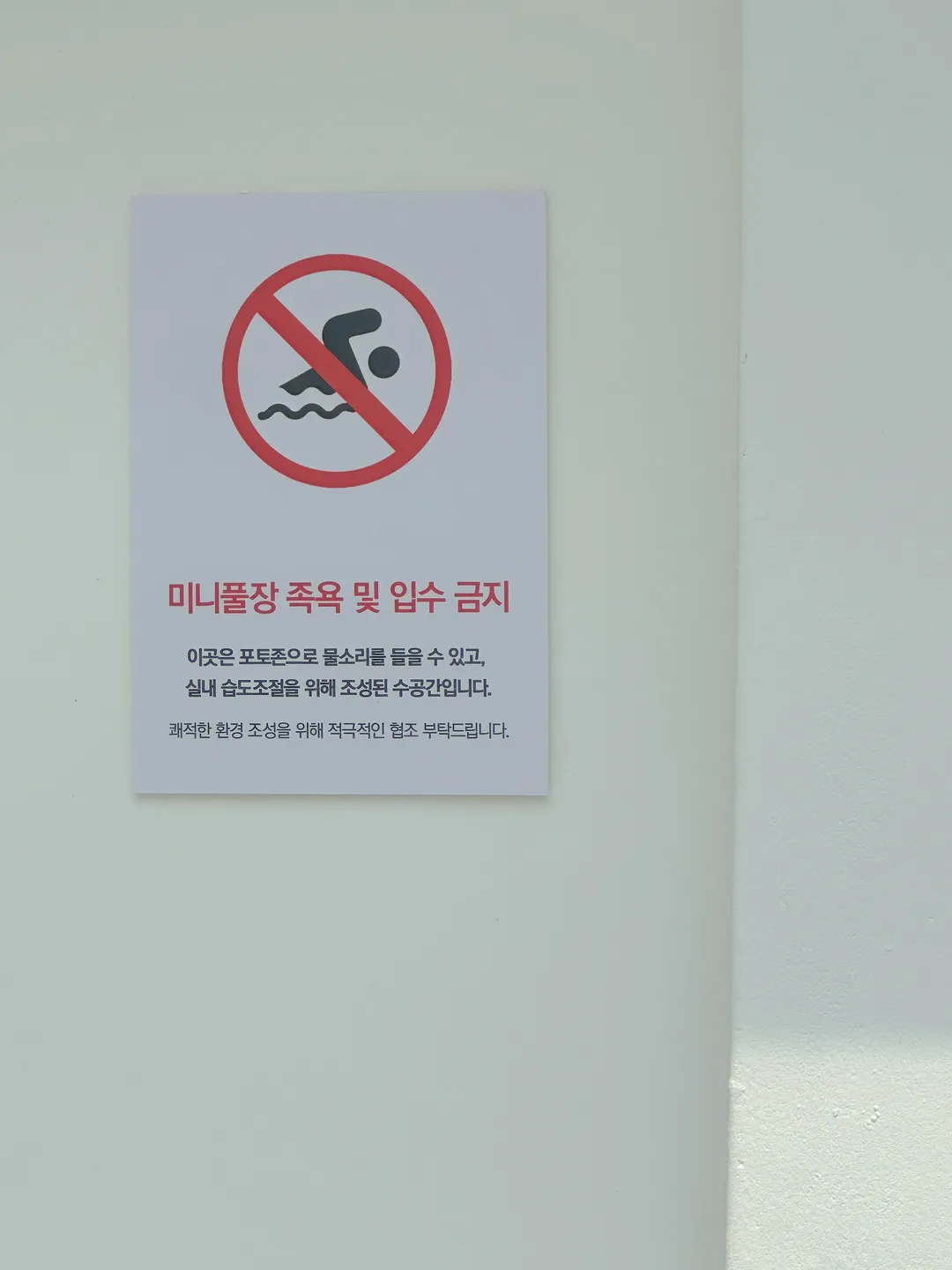 코코넛그루브 사진 32