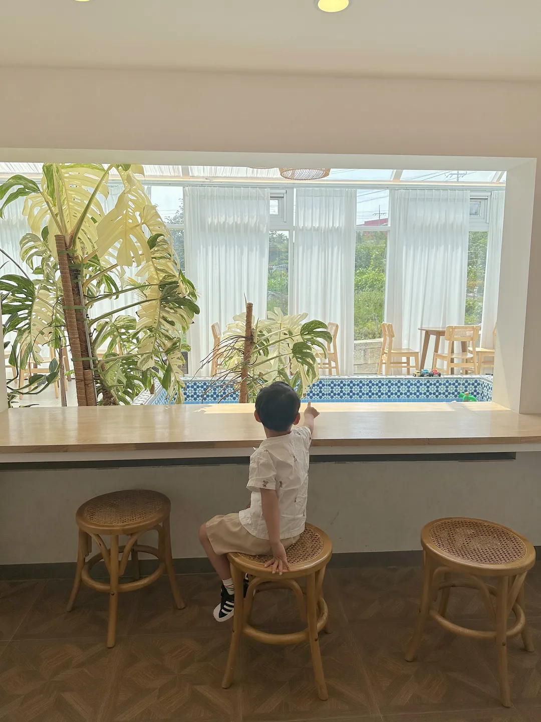 코코넛그루브 사진 31