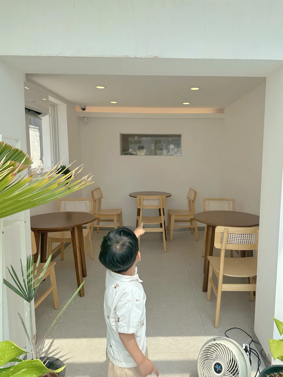 코코넛그루브 사진 13