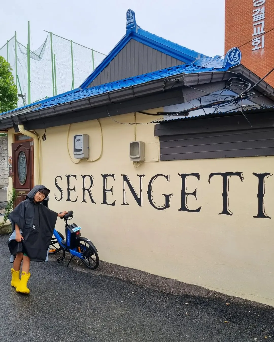 세렝게티커피