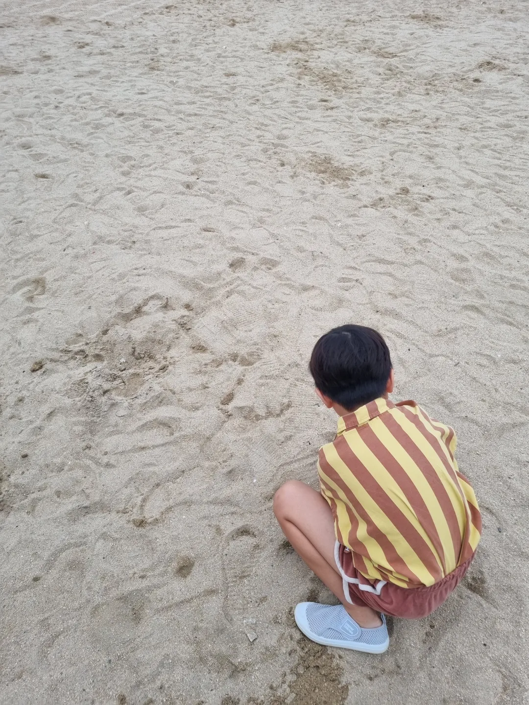 천진해수욕장