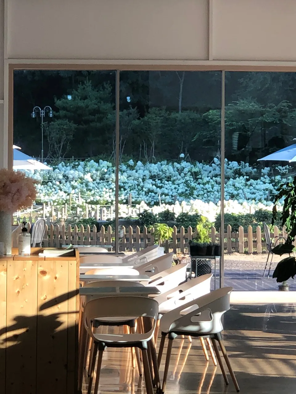 프레이밍