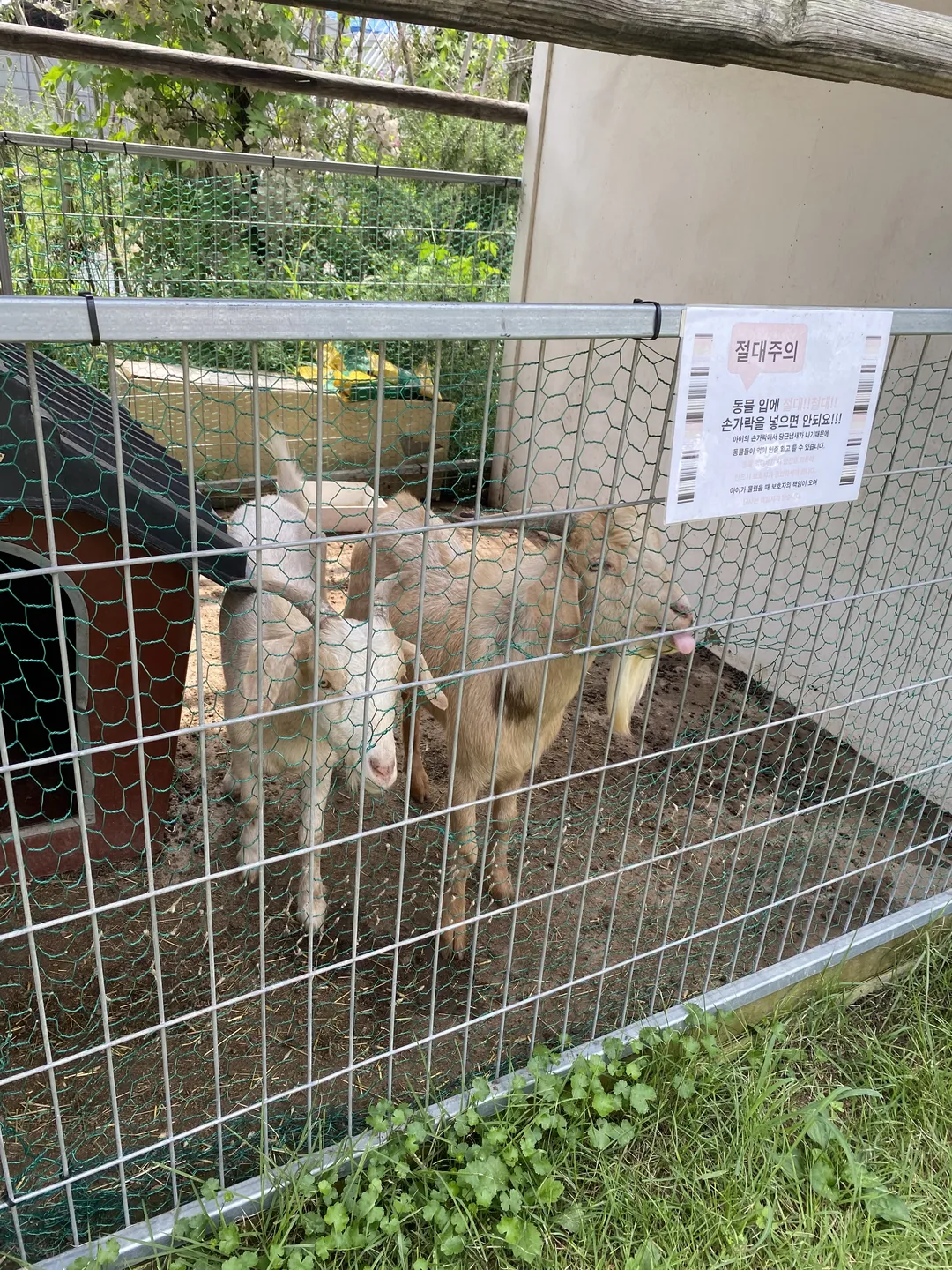 토끼랑카페