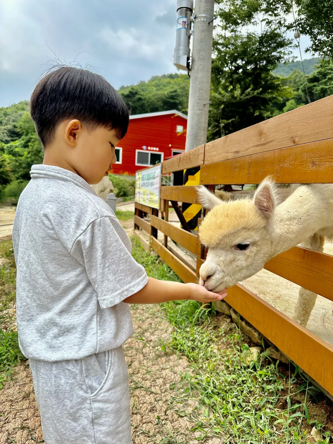 산속애
