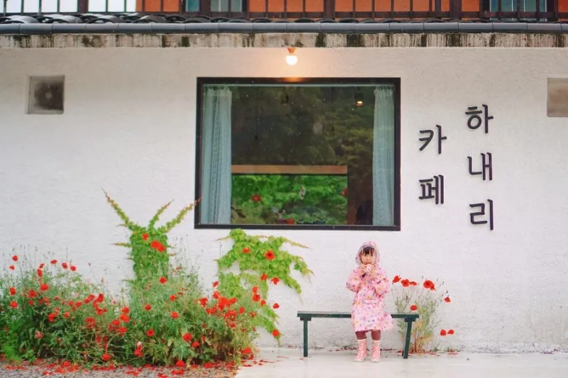 카페 하내리