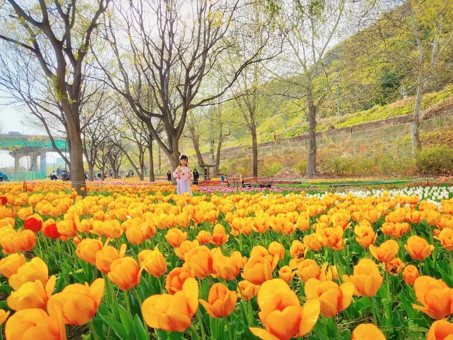 ヨンビ橋下シェルター 写真 10