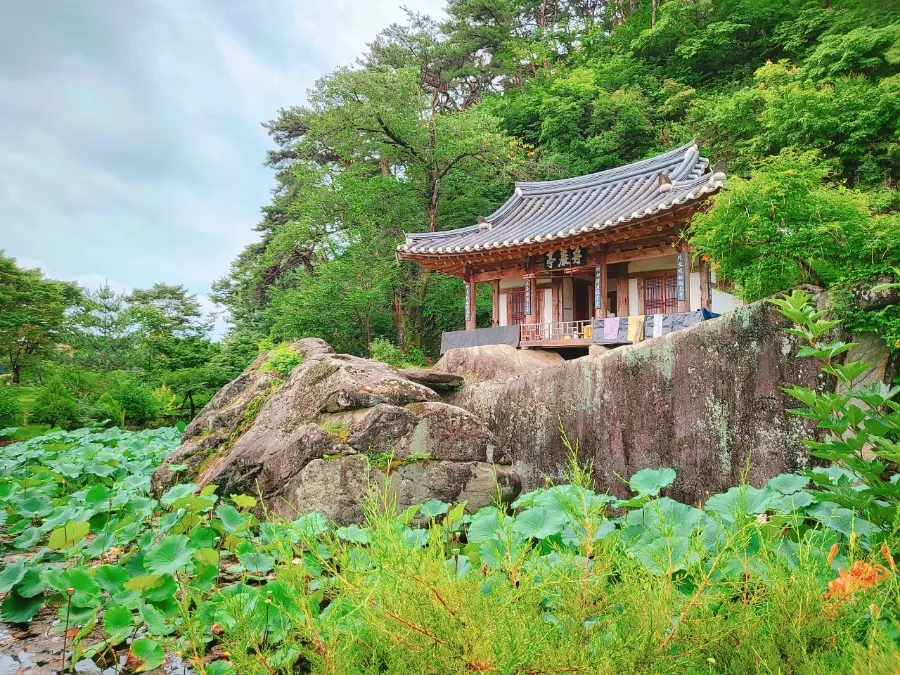 주암정