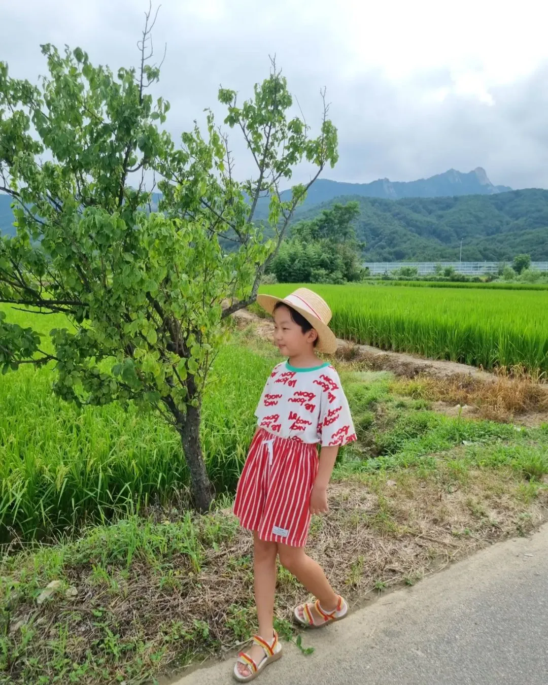 시드누아 속초점 사진 6