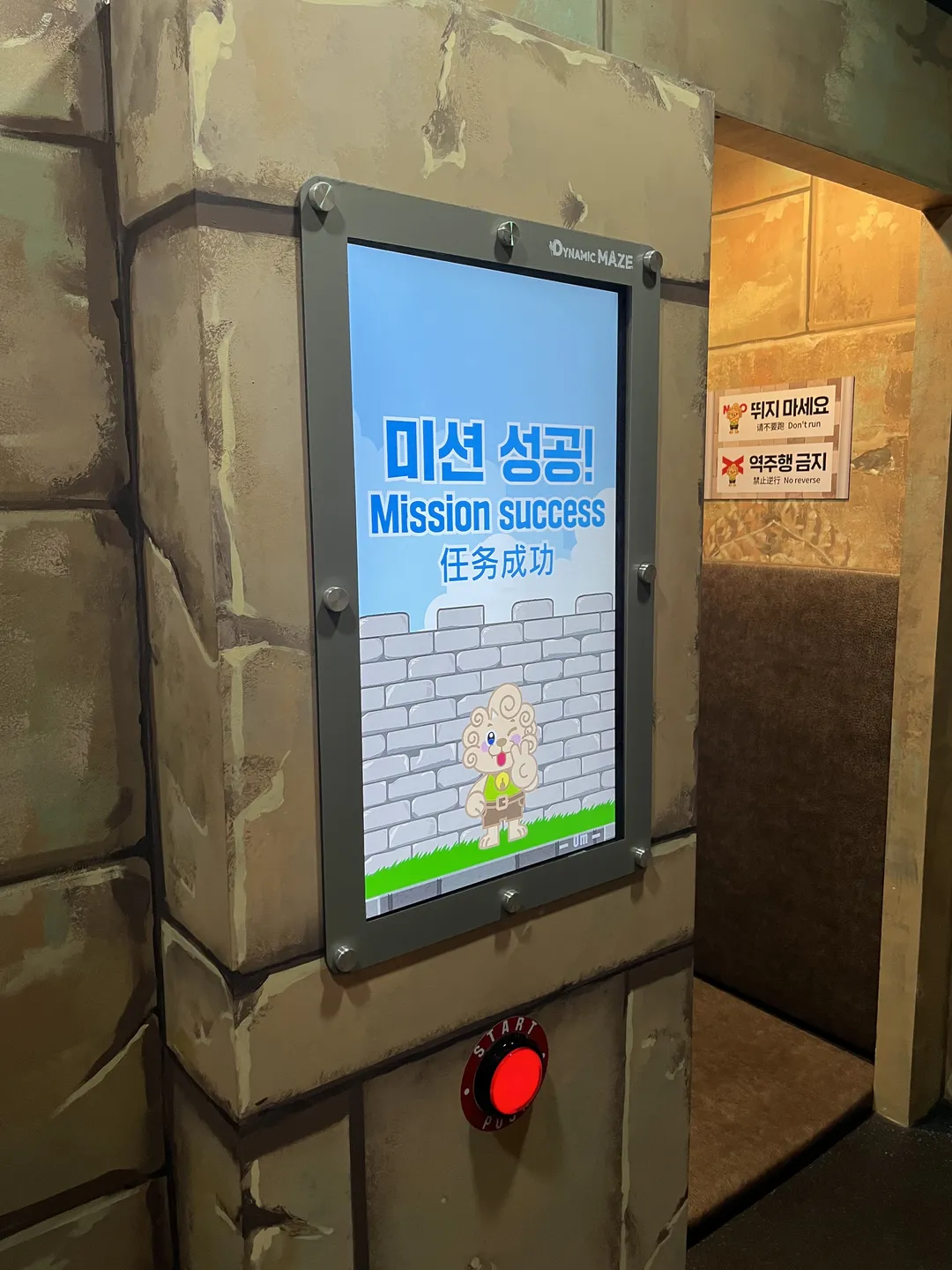 다이나믹메이즈 속초 사진 6