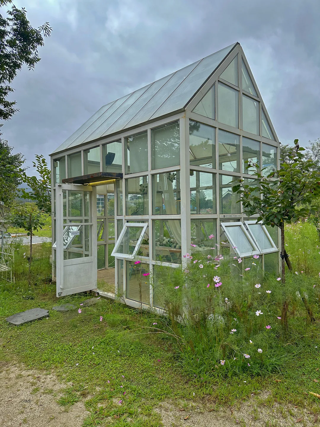Flore photo 29