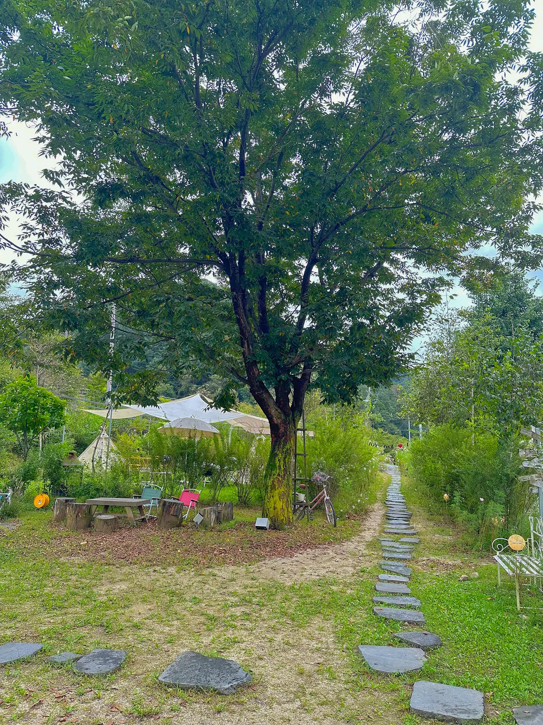 Flore photo 28