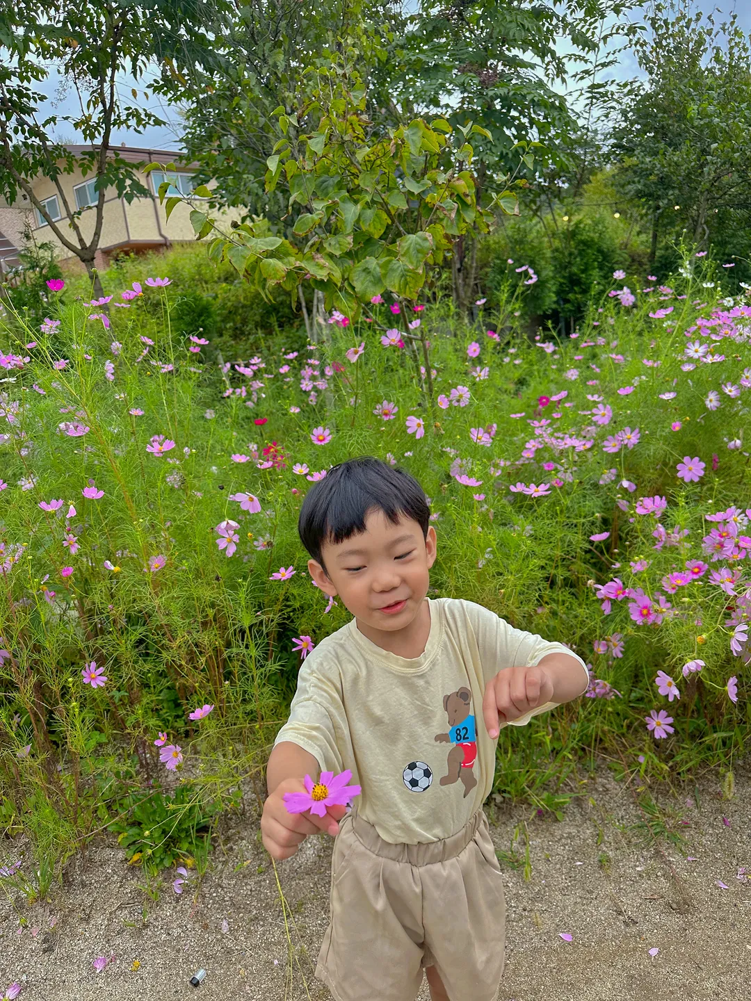 Flore photo 10