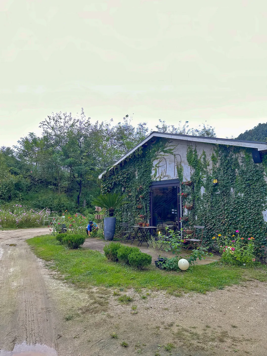 Flore photo 30