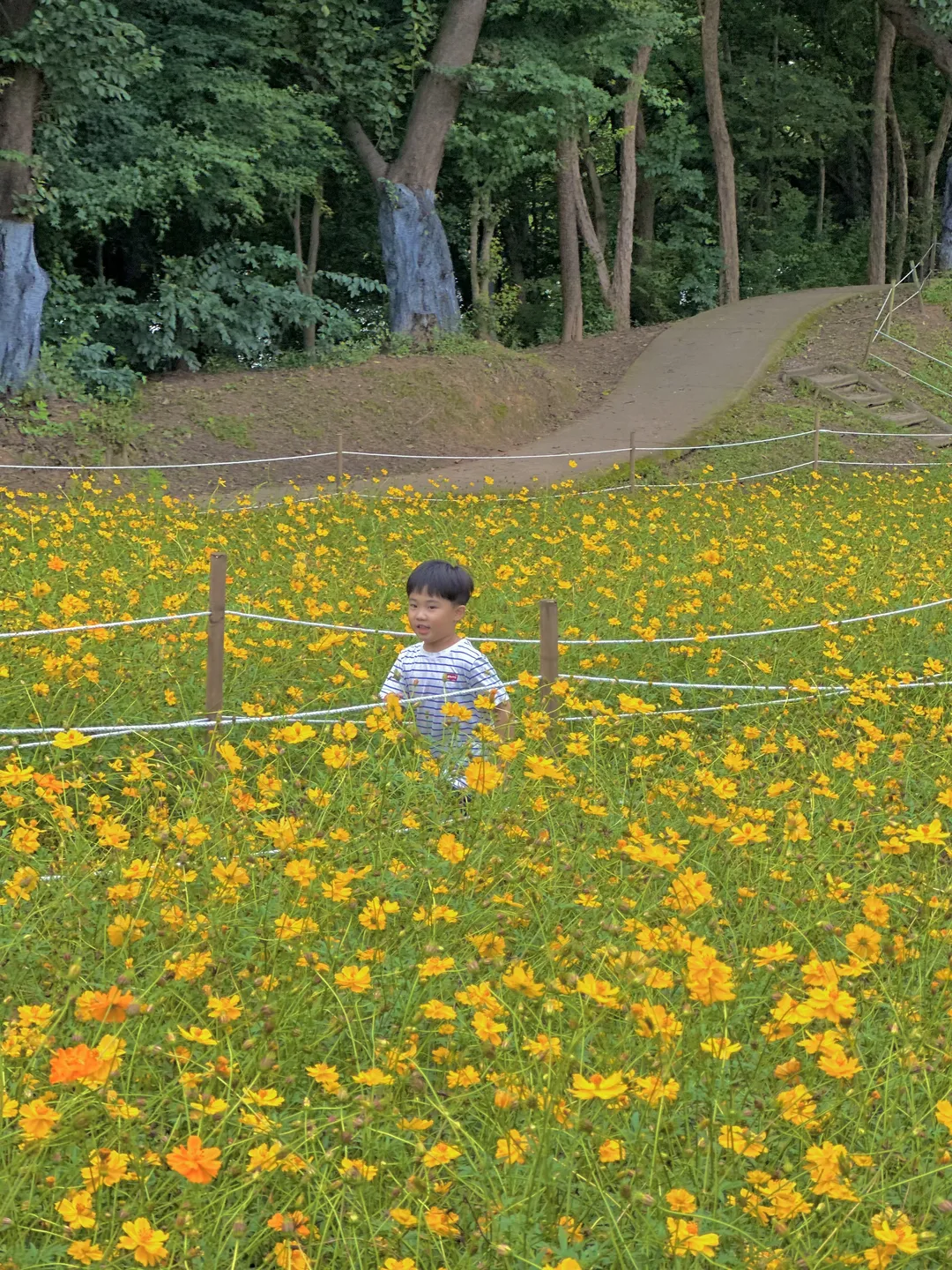 올림픽공원 들꽃마루