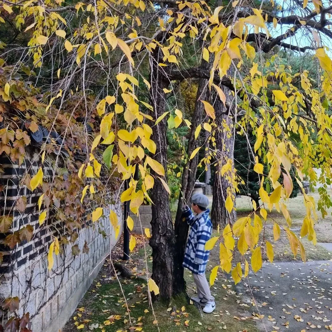 호암미술관 사진 15