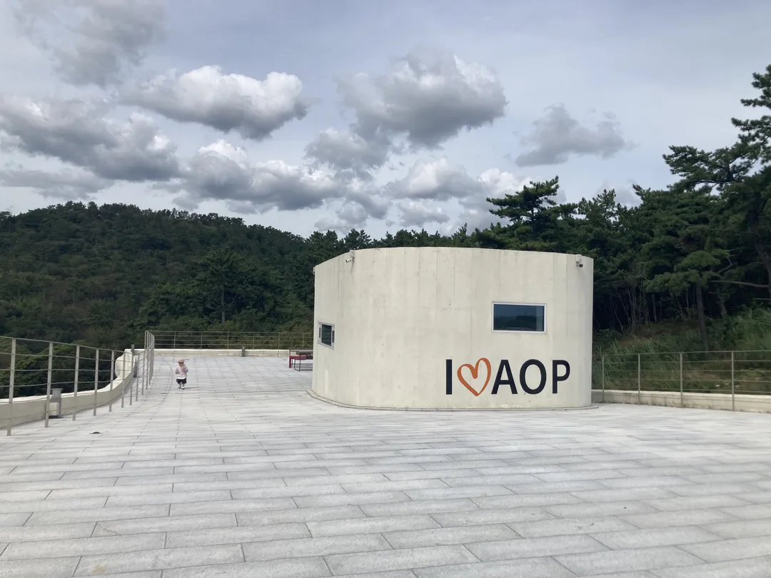 AOP 写真 8