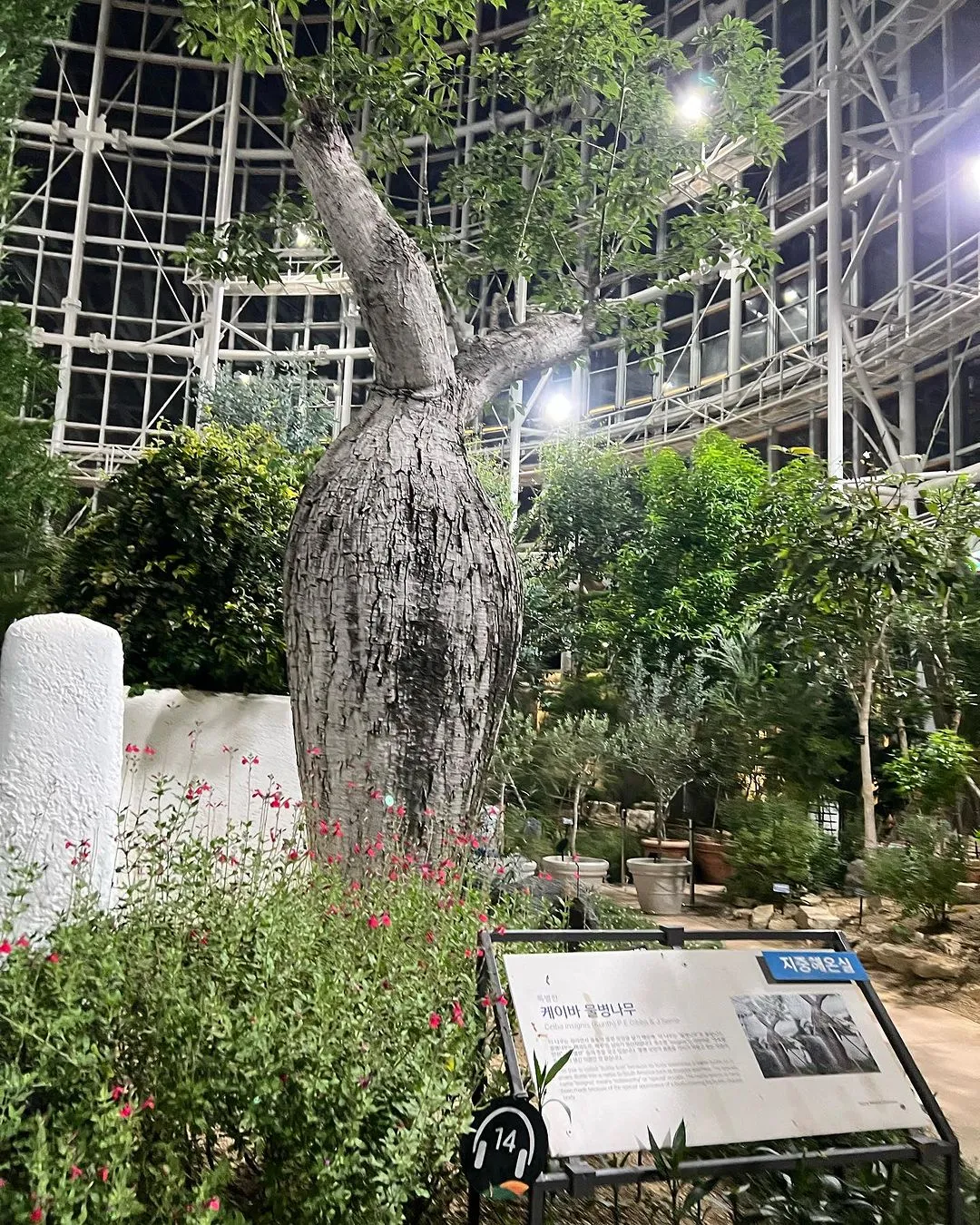 국립세종수목원 사진 18