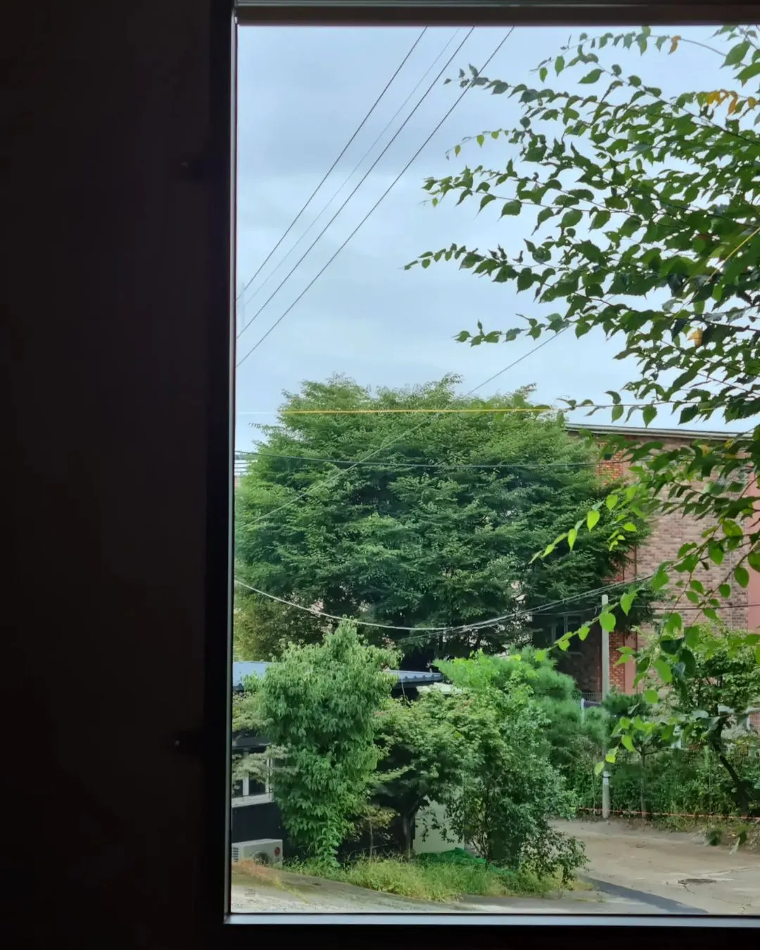 머루숯길1028 사진 6