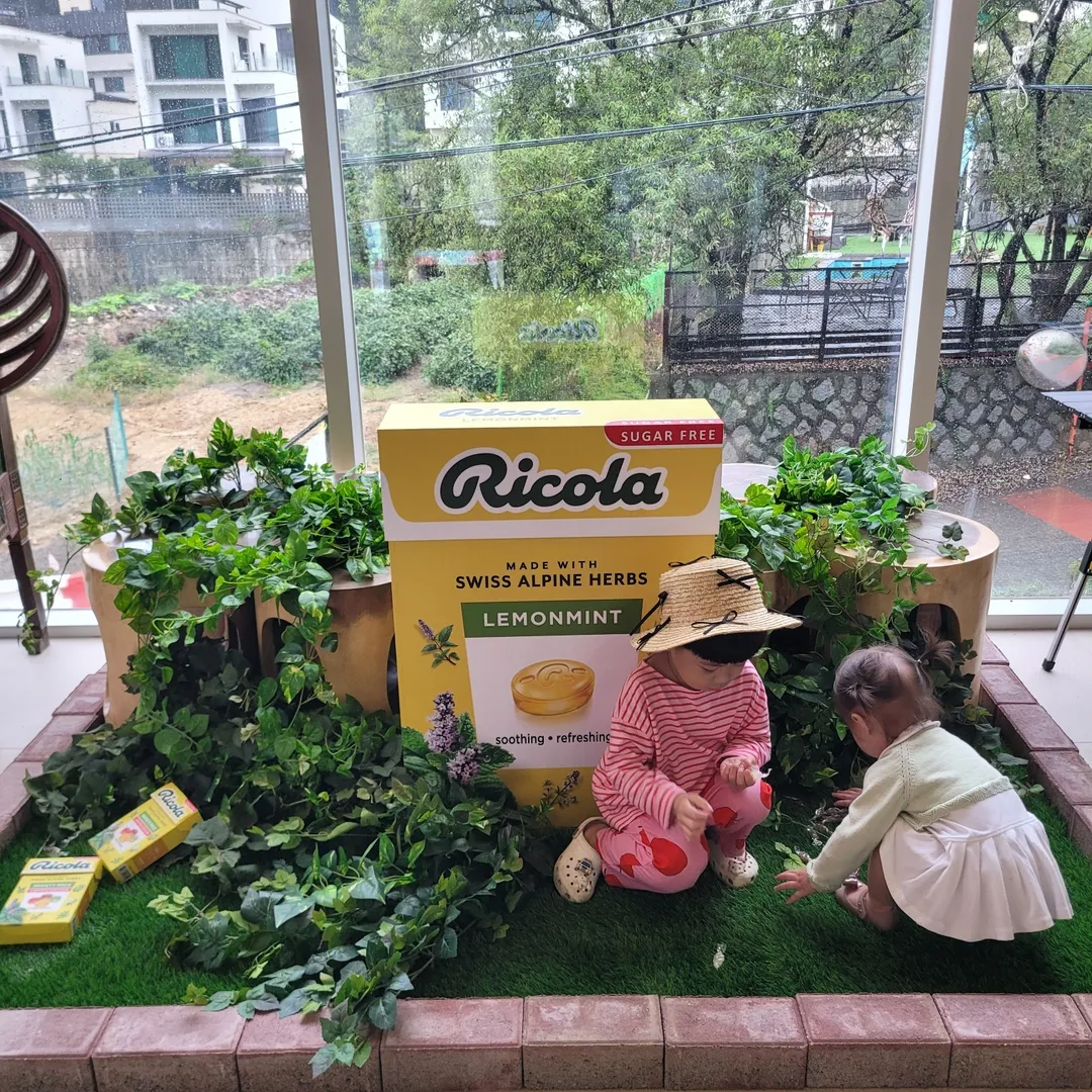 프롬발리 사진 15