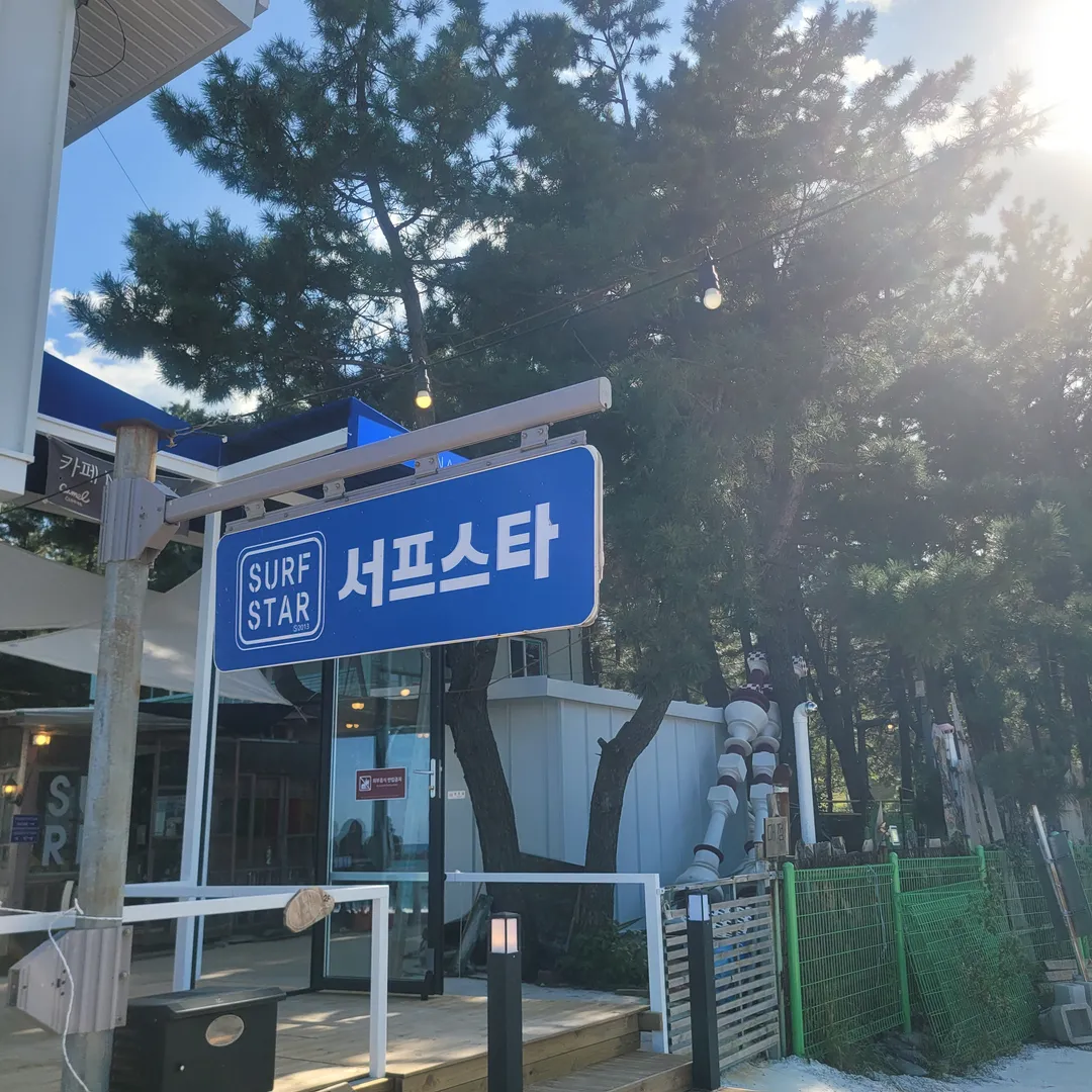 모하나 사진 10