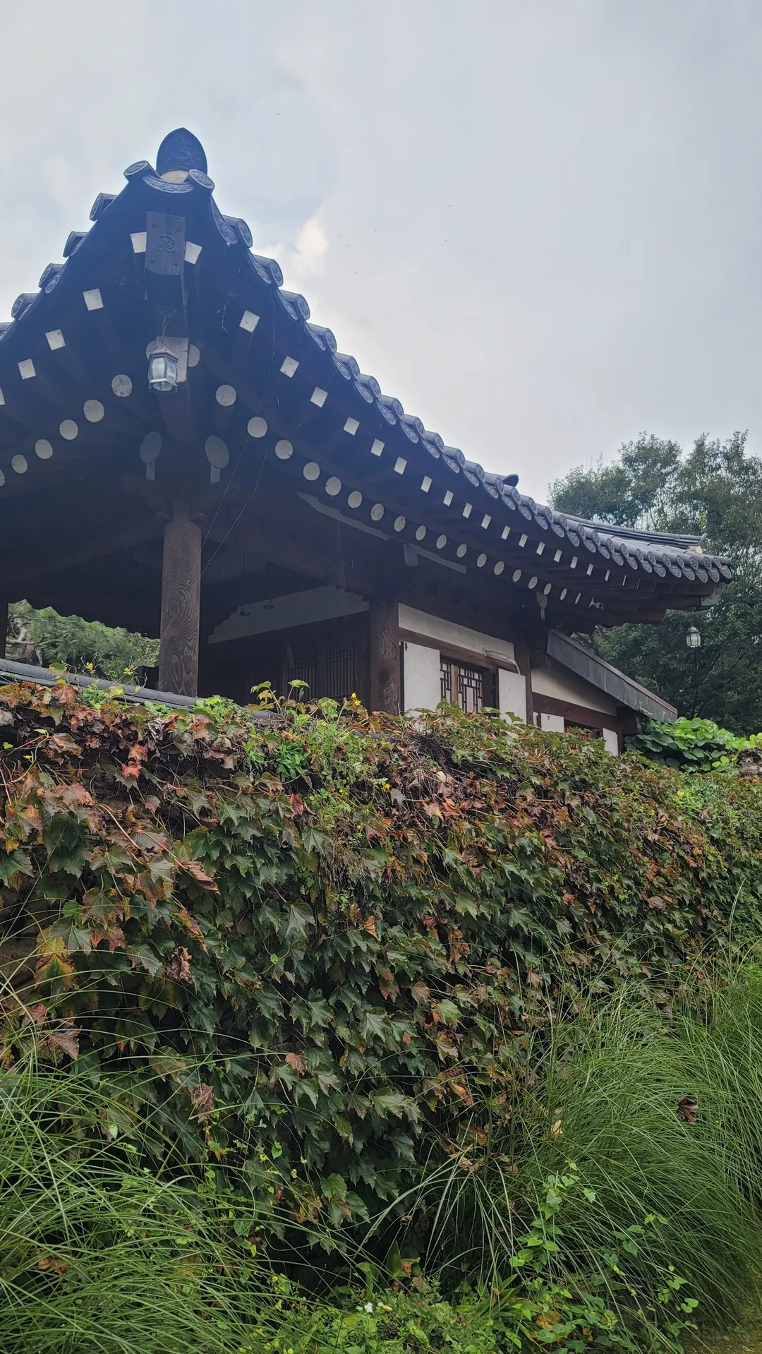 고당