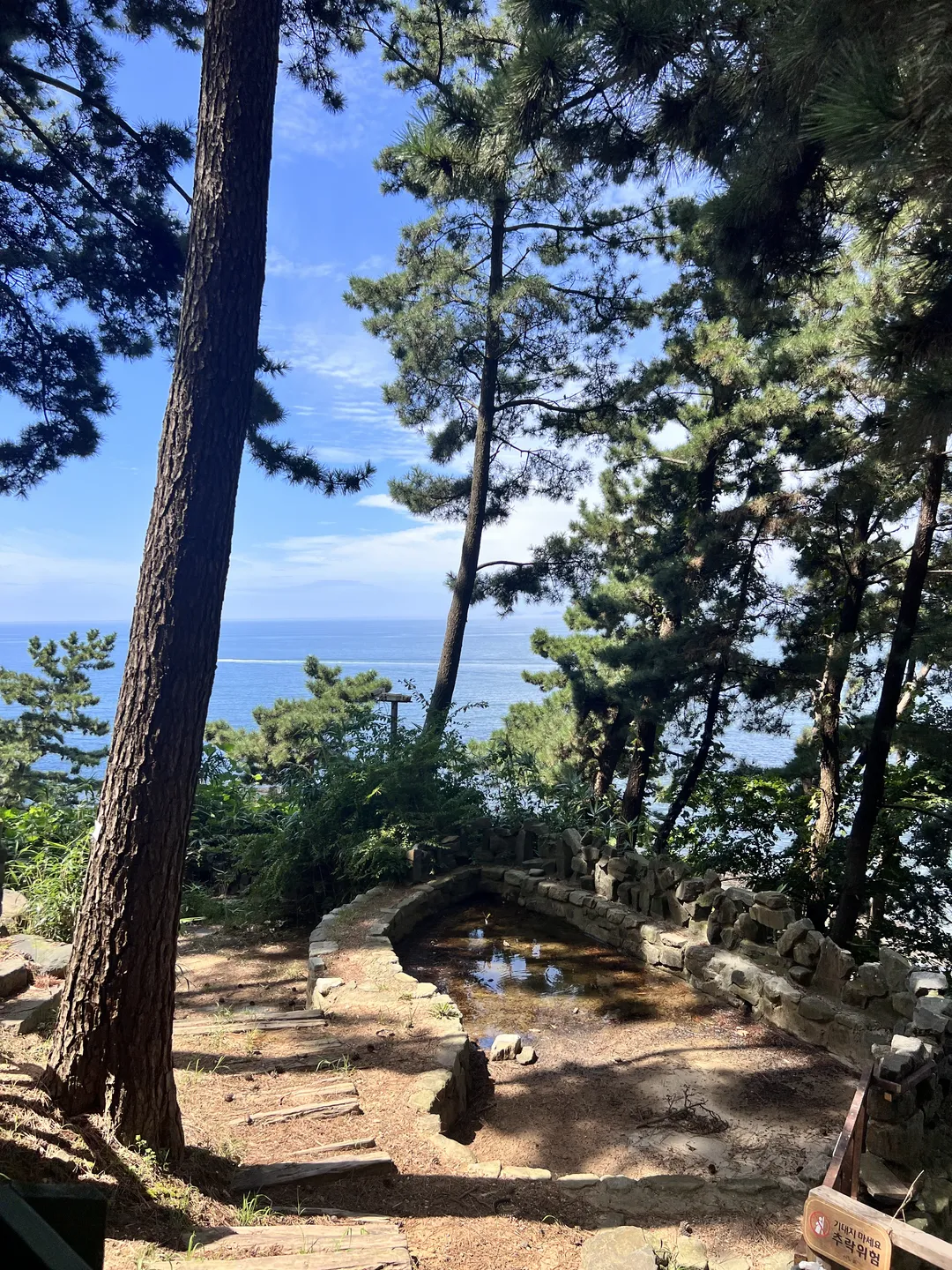죽도 상화원 사진 9