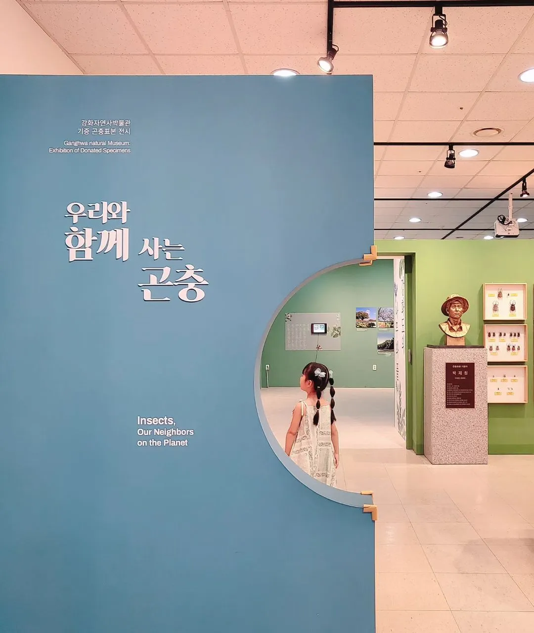 江華自然史博物館 写真 10