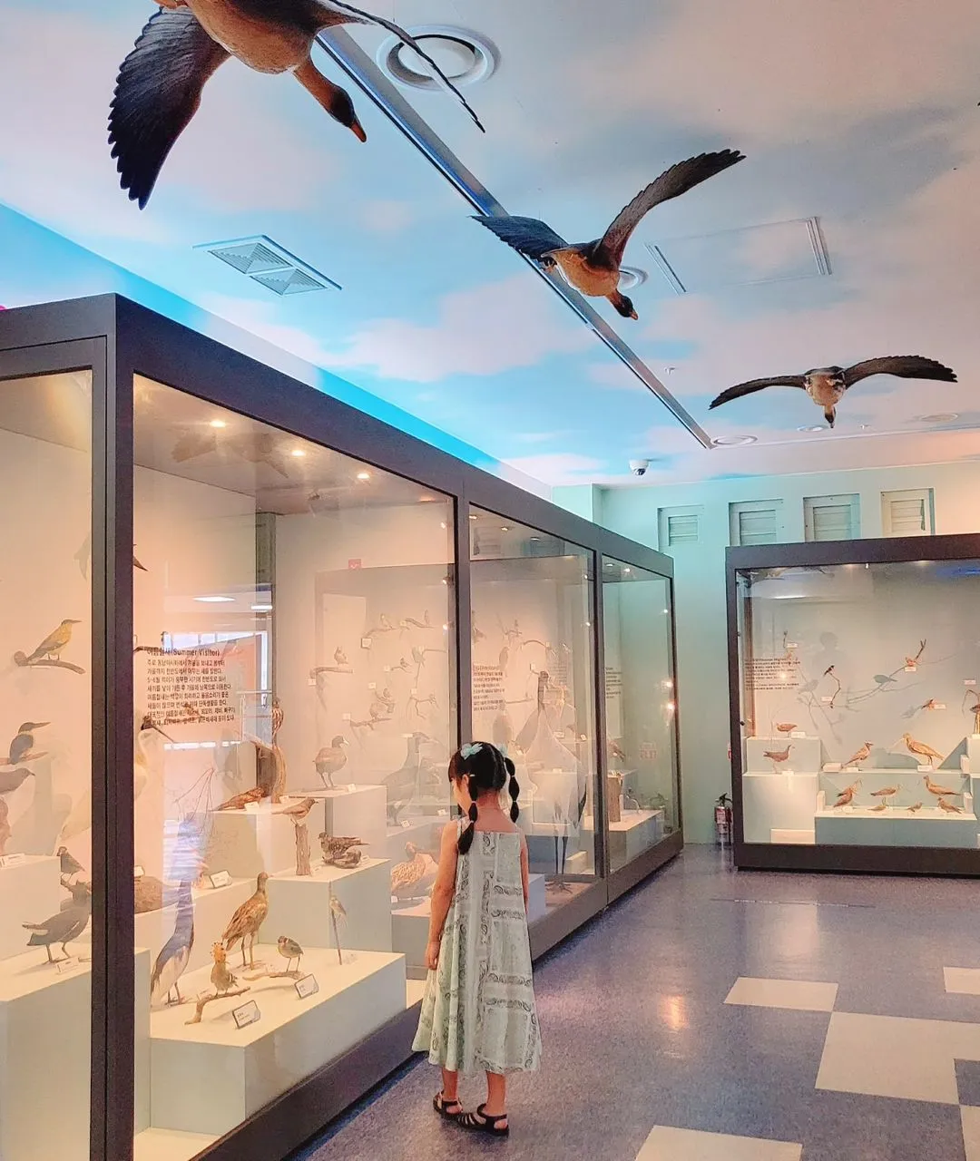 江華自然史博物館 写真 9