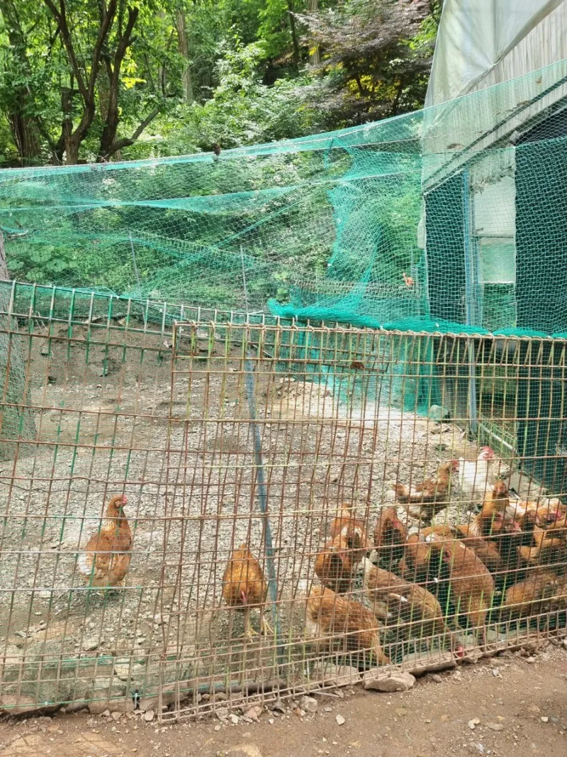 한터농원영농조합법인 사진 20