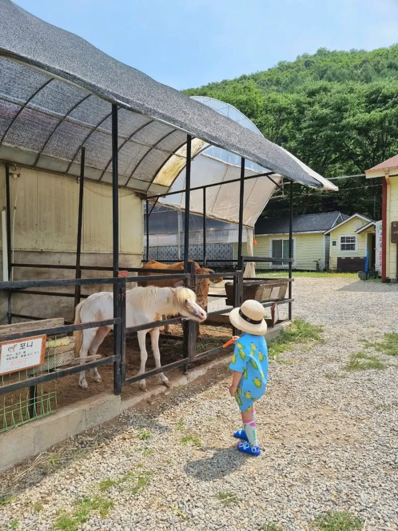 한터농원영농조합법인 사진 11