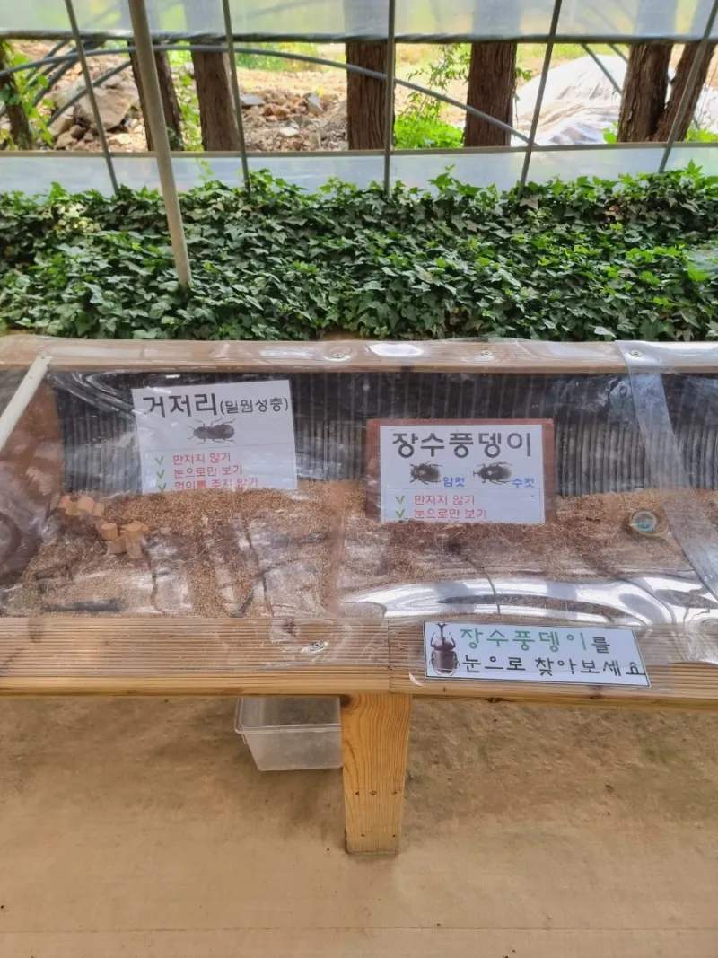한터농원영농조합법인 사진 24
