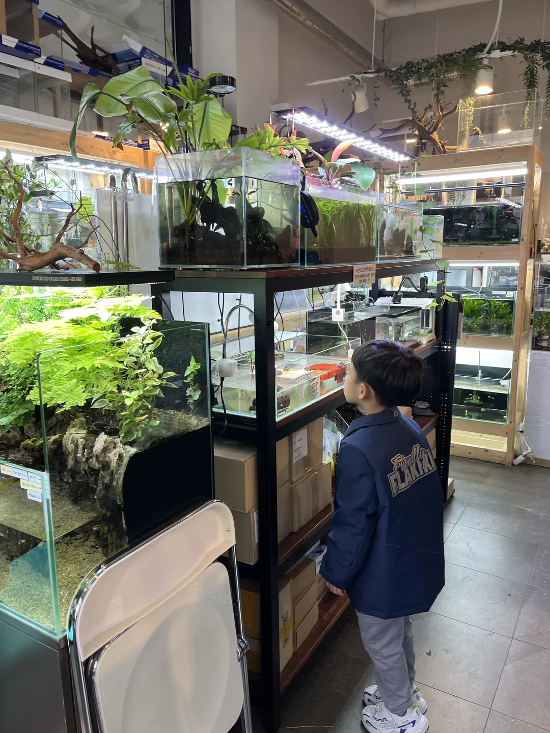 퐁당아쿠아