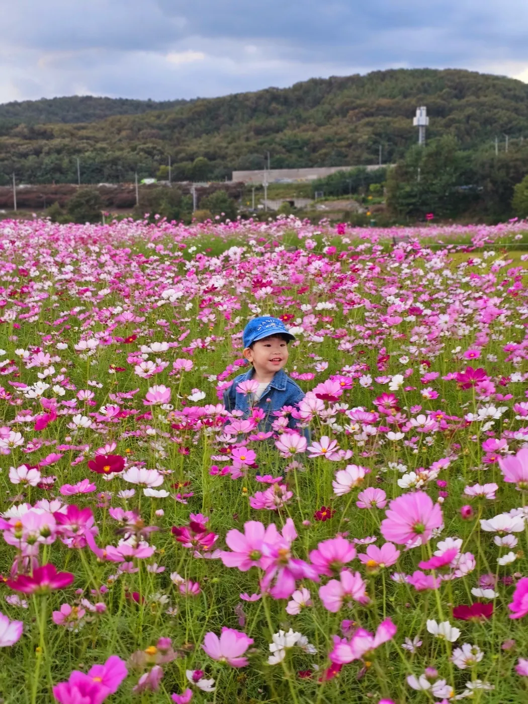 금호꽃섬