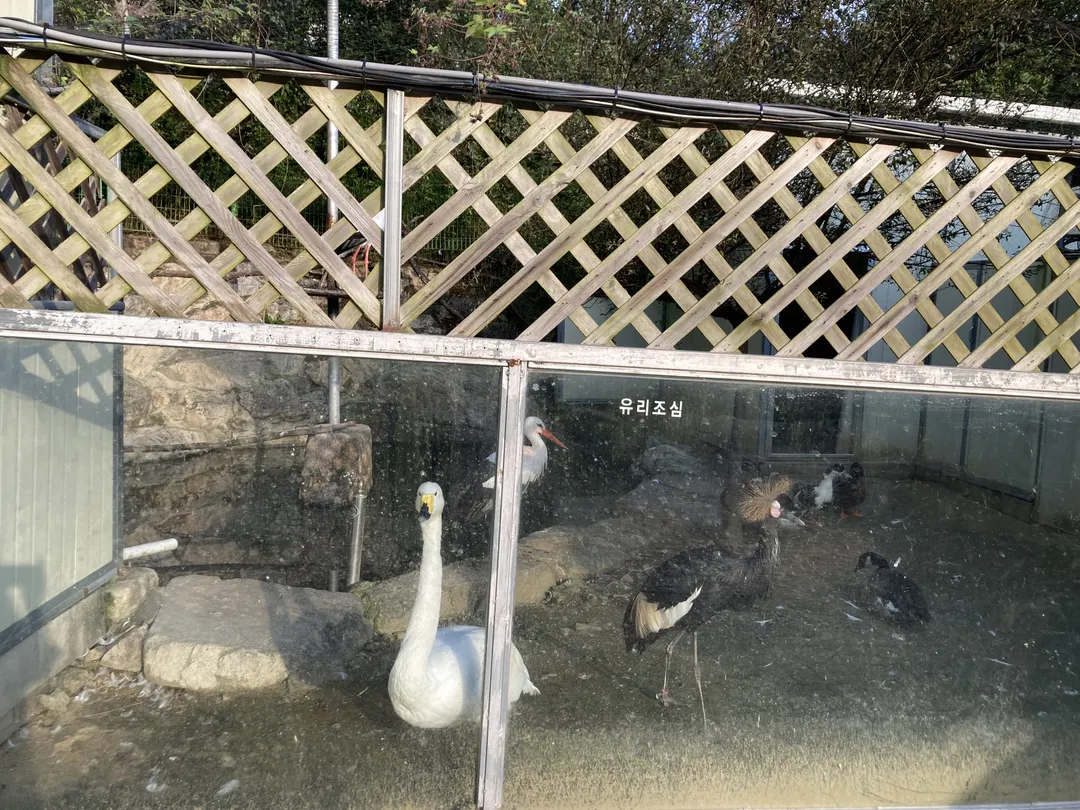 Zoo Zoo Hill photo 9