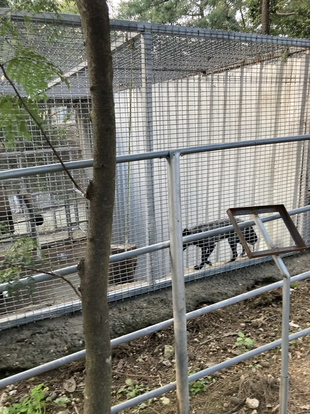 Zoo Zoo Hill photo 7