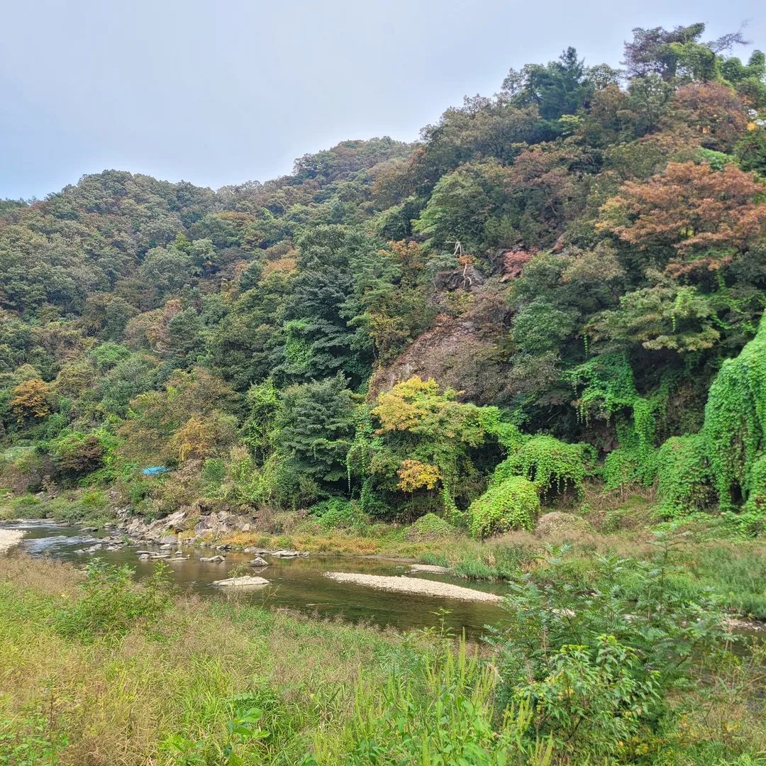 스튜디오 자락