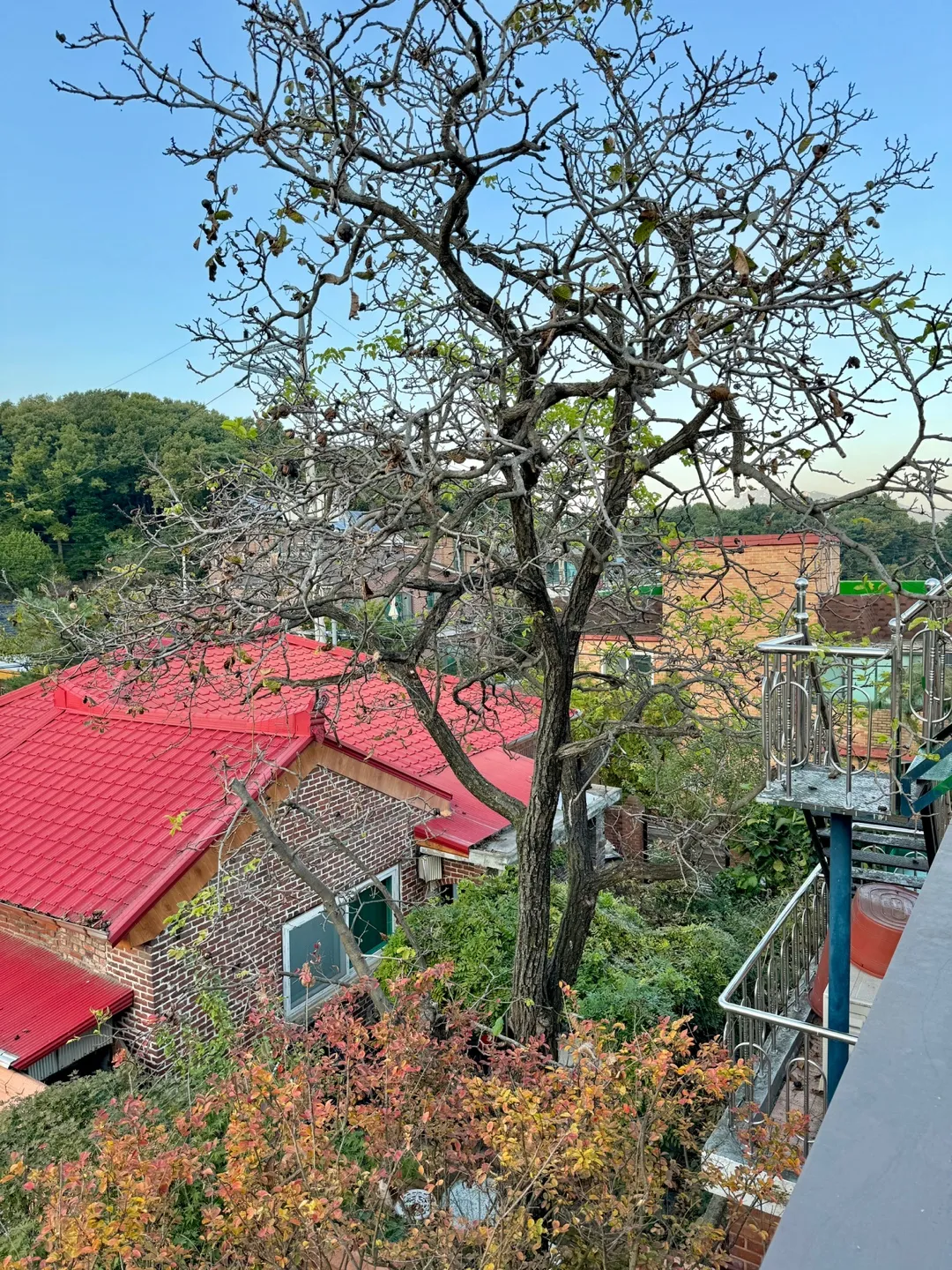 구들리 사진 8