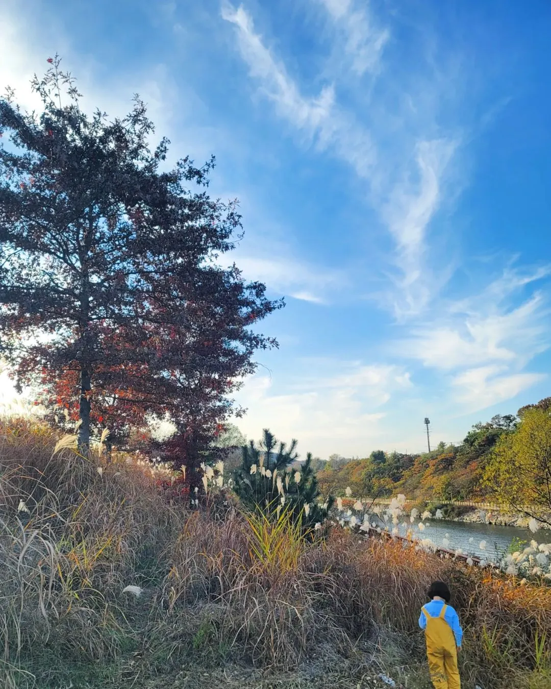 경인아라뱃길 사진 8