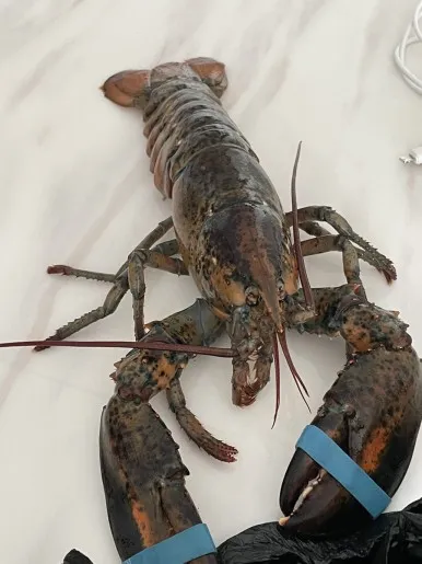 청주실내바다낚시터